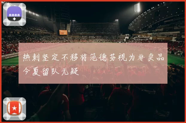 热刺坚定不移将范德芬视为非卖品今夏留队无疑